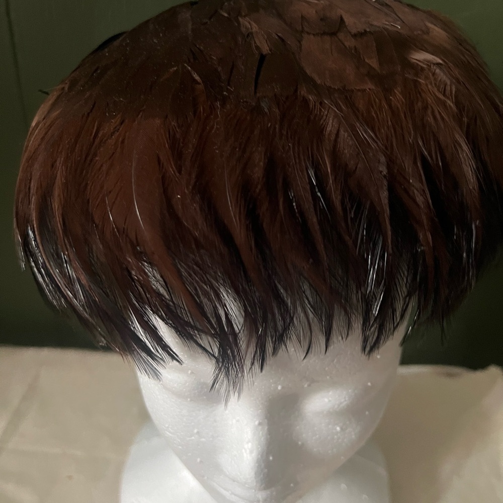 Vintage Brown Feathered Hat